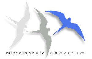 logo msobertrum
